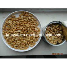 Dried Salted Peanuts with High Quality